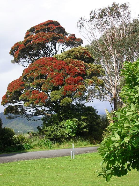 Karamea Holiday Park Eksteriør bilde